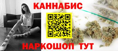 стафф Кандалакша