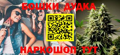 стафф Кандалакша