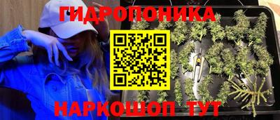 каннабис Канаш