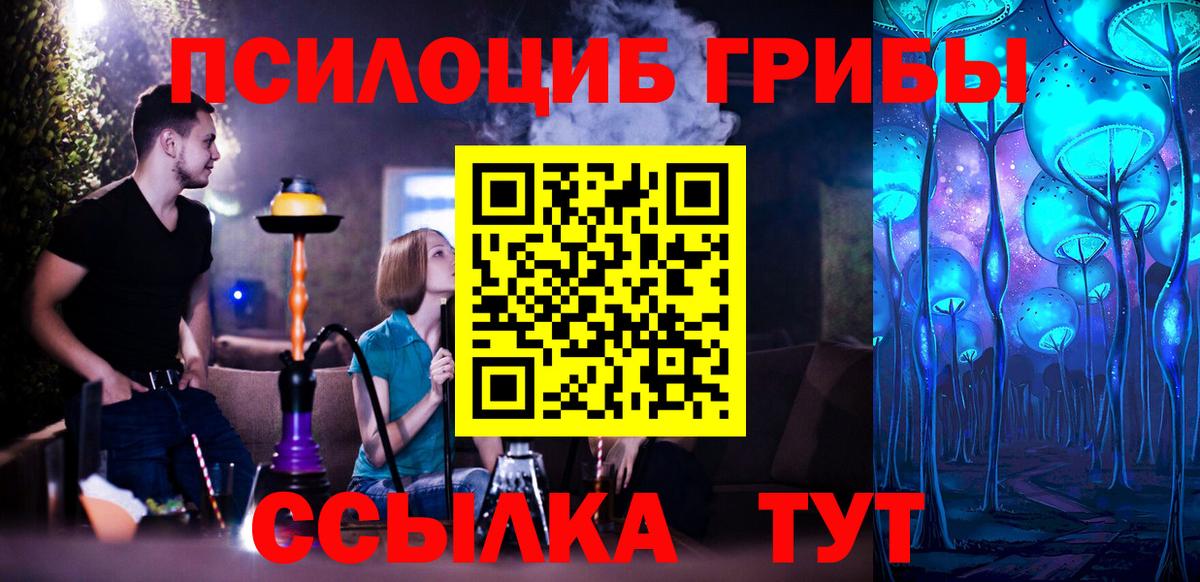 Галлюциногенные грибы MAGIC MUSHROOMS  Галлюциногенные грибы Cubensis  Вход с VPN  купить наркотики сайты  Кунгур 