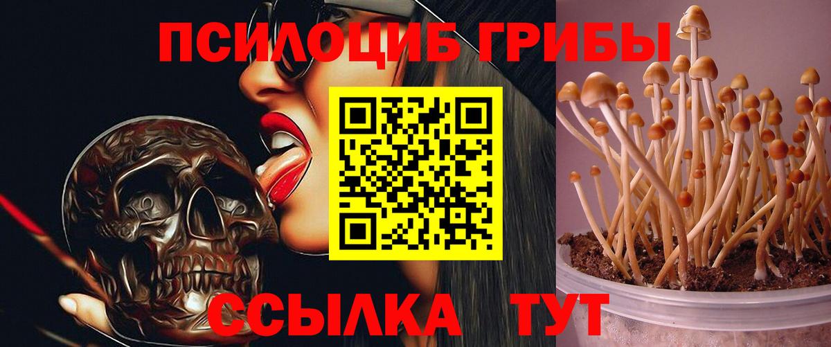 КОКАИН  Гашиш  Кунгур  A PVP СК   Мефедрон   Гашиш  Лсд 25  Вход с VPN  Каннабис 